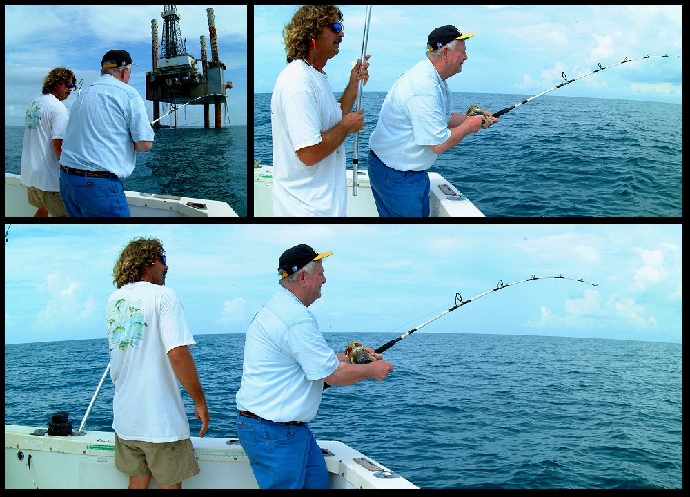 (47) montage (rig fishing).jpg   (1000x720)   328 Kb                                    Click to display next picture